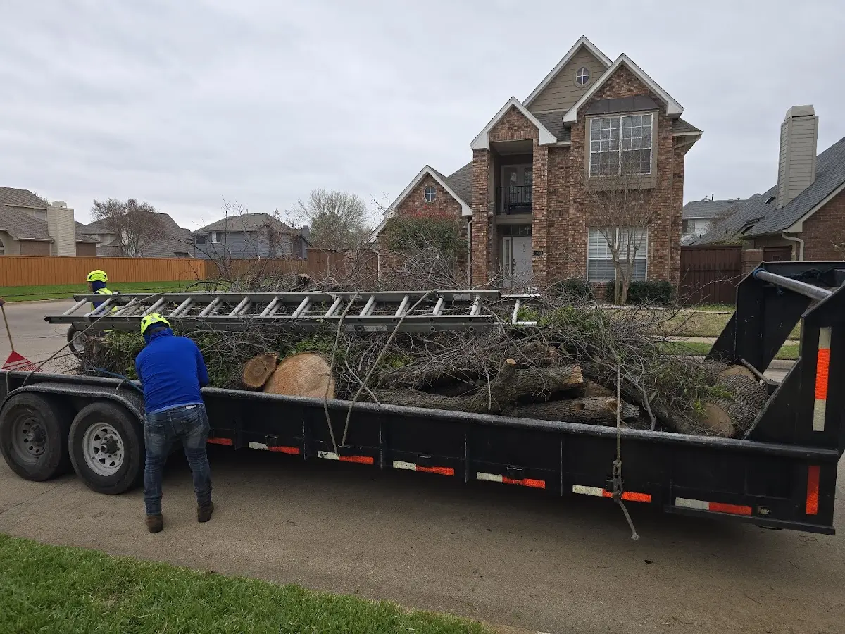 Expert Lot Clearing with proper safety equipment in Elon